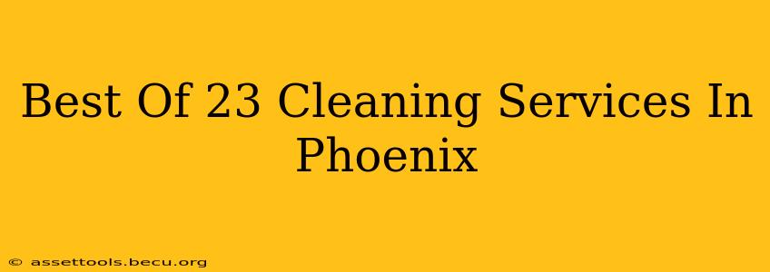 Best Of 23 Cleaning Services In Phoenix