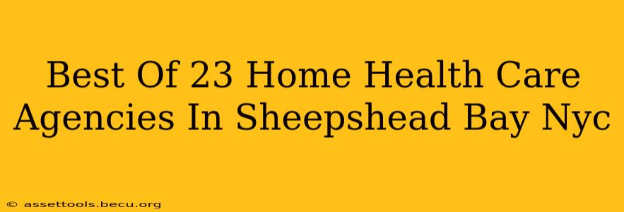 Best Of 23 Home Health Care Agencies In Sheepshead Bay Nyc
