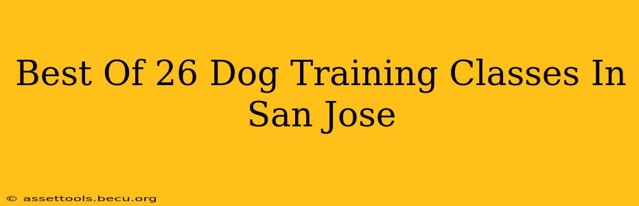 Best Of 26 Dog Training Classes In San Jose