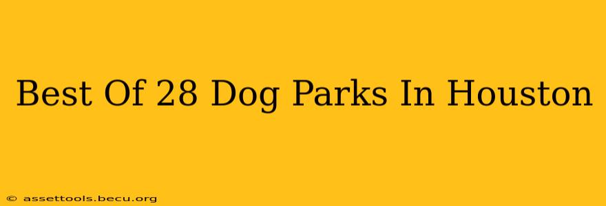 Best Of 28 Dog Parks In Houston