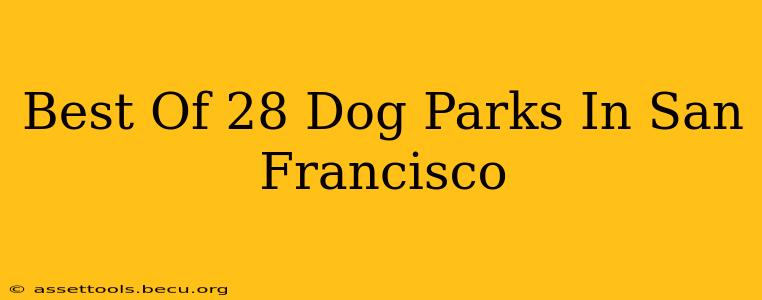 Best Of 28 Dog Parks In San Francisco