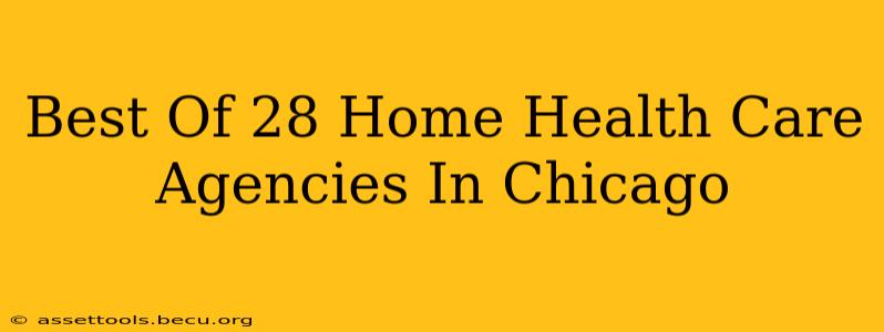 Best Of 28 Home Health Care Agencies In Chicago