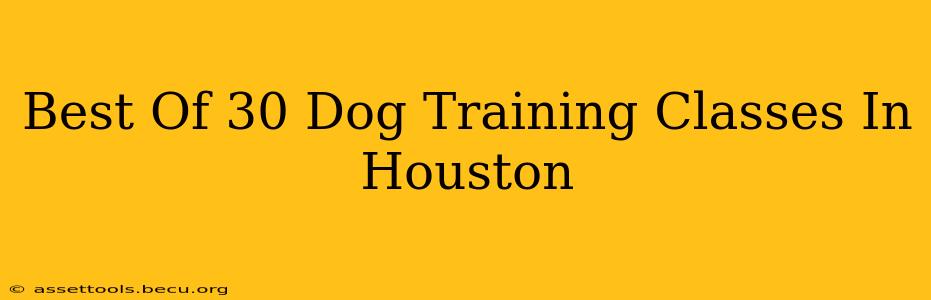 Best Of 30 Dog Training Classes In Houston