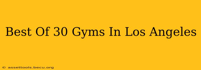 Best Of 30 Gyms In Los Angeles