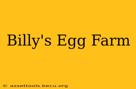Billy's Egg Farm