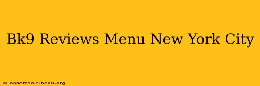 Bk9 Reviews Menu New York City