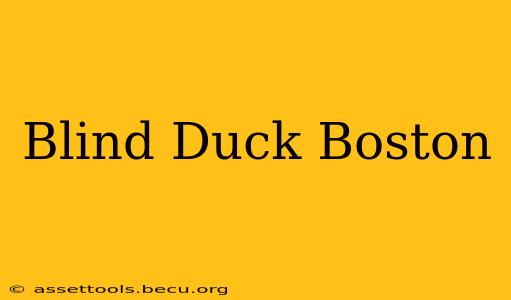 Blind Duck Boston