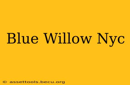 Blue Willow Nyc