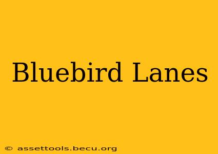 Bluebird Lanes