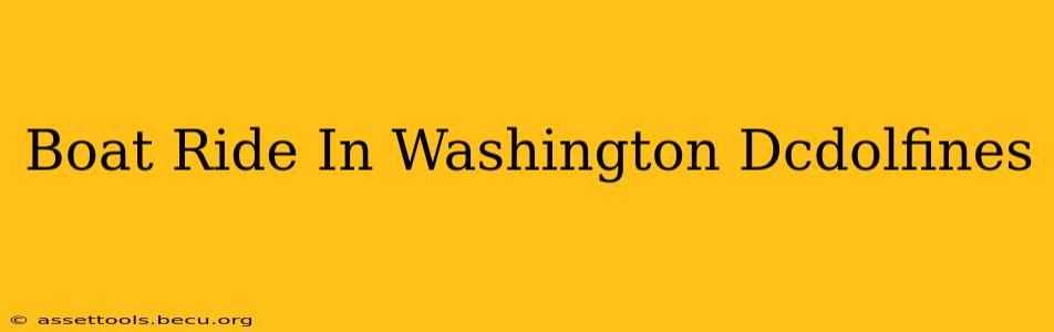 Boat Ride In Washington Dcdolfines