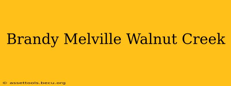 Brandy Melville Walnut Creek