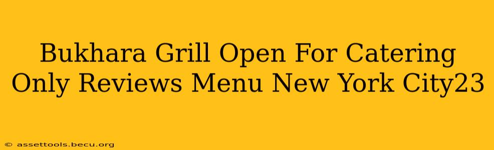 Bukhara Grill Open For Catering Only Reviews Menu New York City23