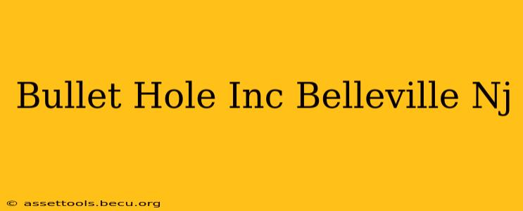 Bullet Hole Inc Belleville Nj