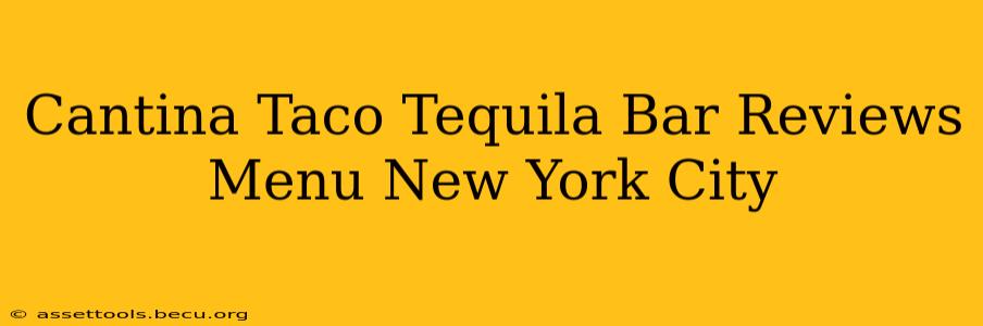 Cantina Taco Tequila Bar Reviews Menu New York City