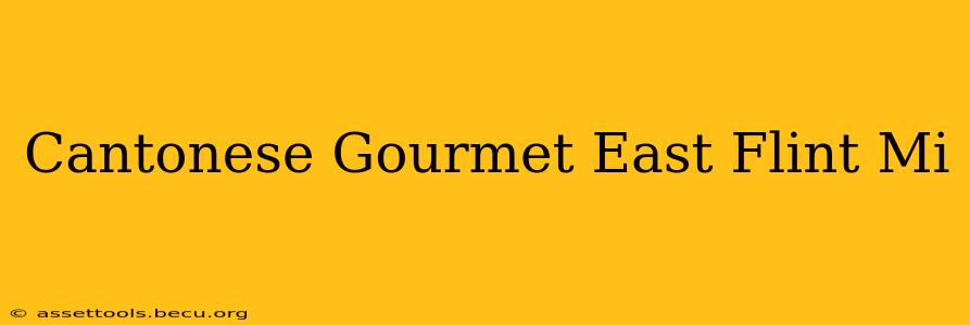 Cantonese Gourmet East Flint Mi