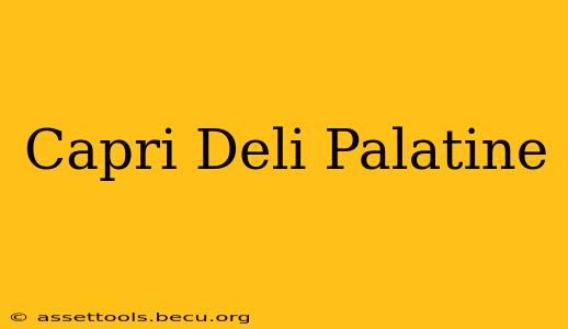 Capri Deli Palatine