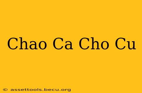 Chao Ca Cho Cu