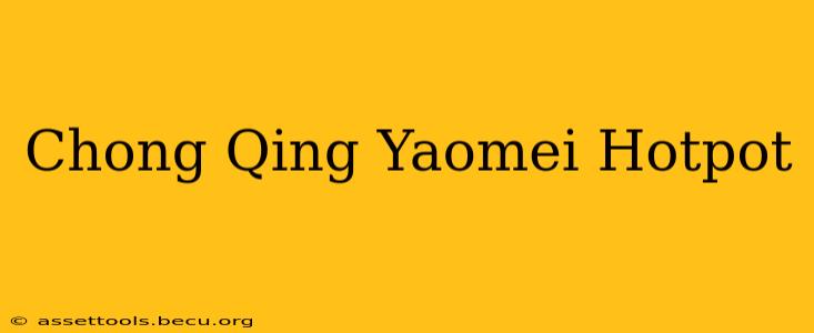 Chong Qing Yaomei Hotpot