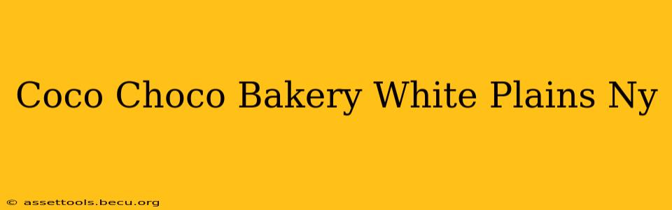 Coco Choco Bakery White Plains Ny