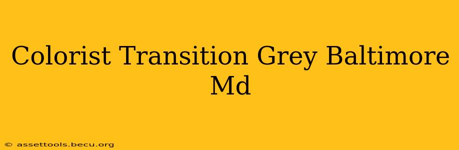 Colorist Transition Grey Baltimore Md