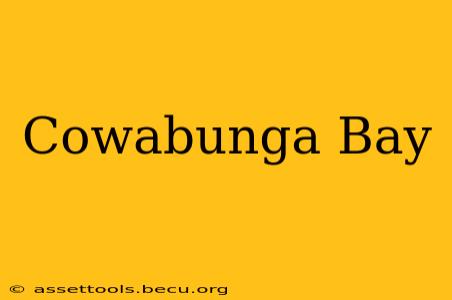 Cowabunga Bay