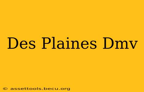 Des Plaines Dmv