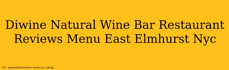 Diwine Natural Wine Bar Restaurant Reviews Menu East Elmhurst Nyc