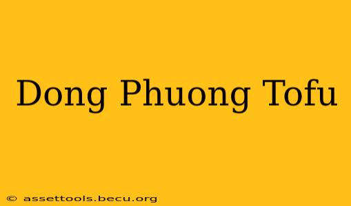 Dong Phuong Tofu