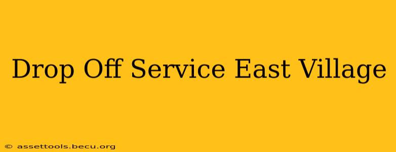 Drop Off Service East Village