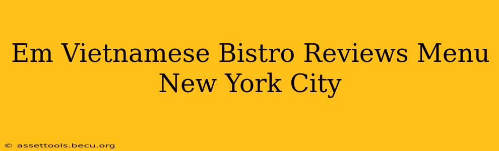 Em Vietnamese Bistro Reviews Menu New York City