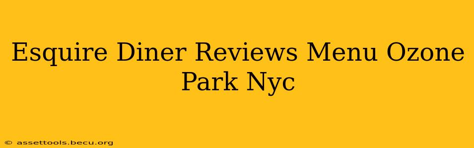 Esquire Diner Reviews Menu Ozone Park Nyc