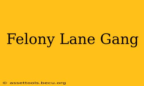 Felony Lane Gang