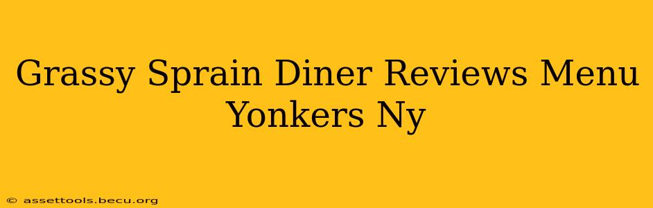 Grassy Sprain Diner Reviews Menu Yonkers Ny