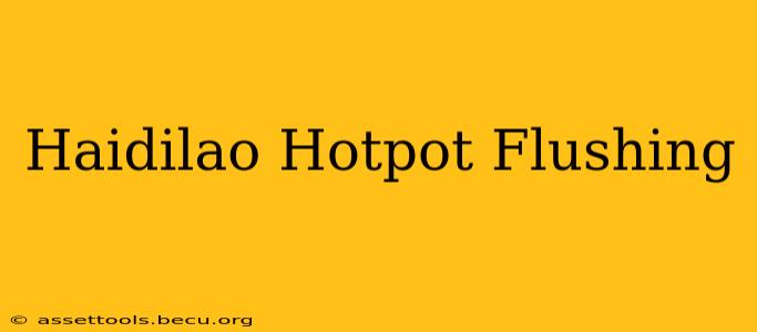 Haidilao Hotpot Flushing