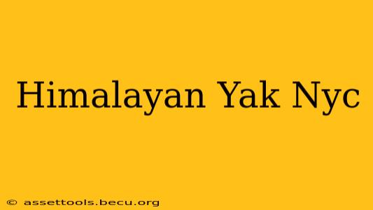 Himalayan Yak Nyc
