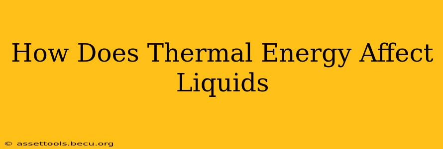 How Does Thermal Energy Affect Liquids
