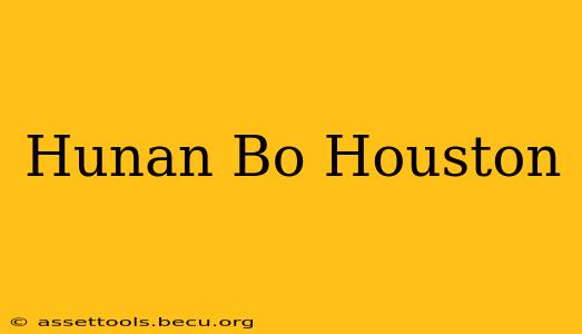 Hunan Bo Houston