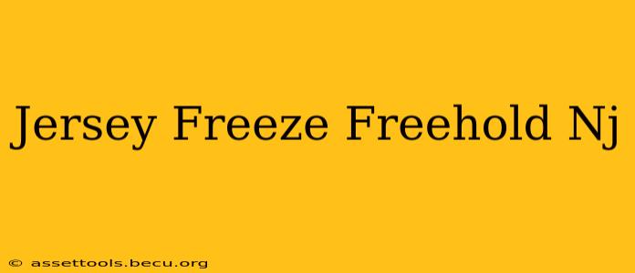 Jersey Freeze Freehold Nj