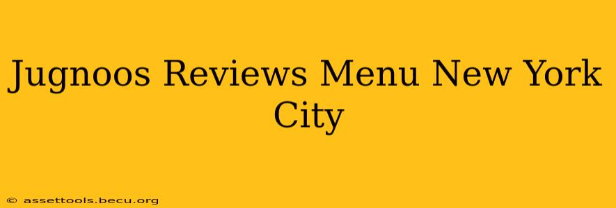 Jugnoos Reviews Menu New York City