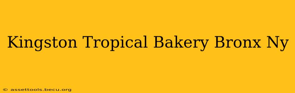 Kingston Tropical Bakery Bronx Ny