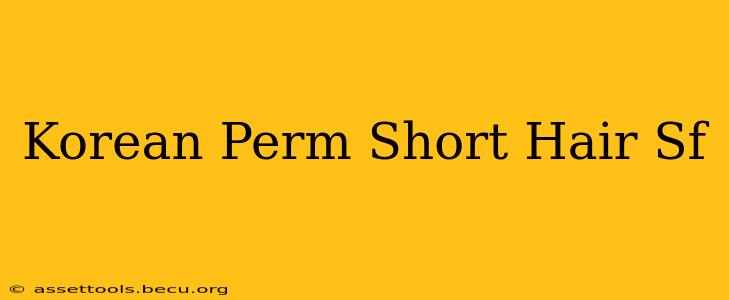 Korean Perm Short Hair Sf