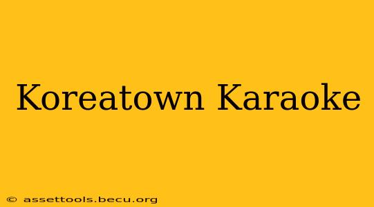 Koreatown Karaoke