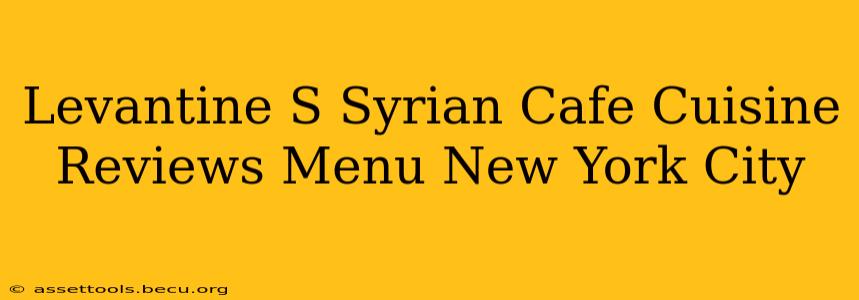 Levantine S Syrian Cafe Cuisine Reviews Menu New York City