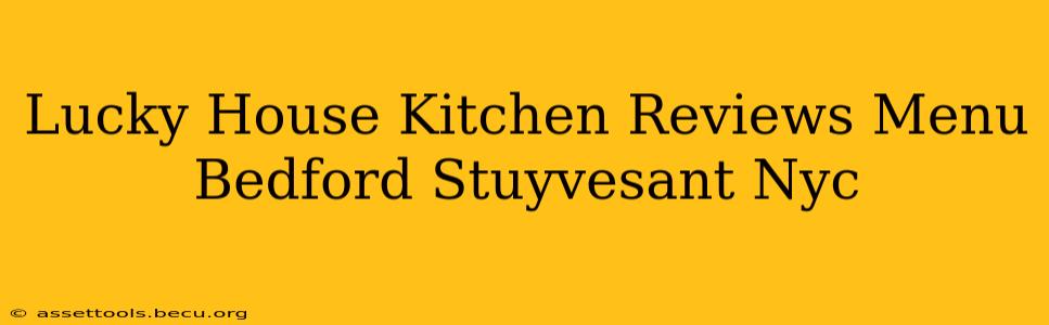 Lucky House Kitchen Reviews Menu Bedford Stuyvesant Nyc