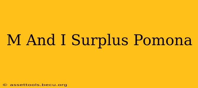 M And I Surplus Pomona