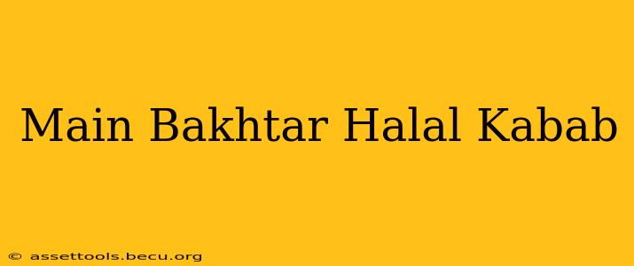 Main Bakhtar Halal Kabab