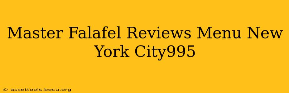 Master Falafel Reviews Menu New York City995