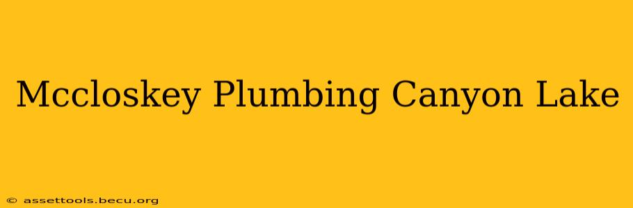 Mccloskey Plumbing Canyon Lake