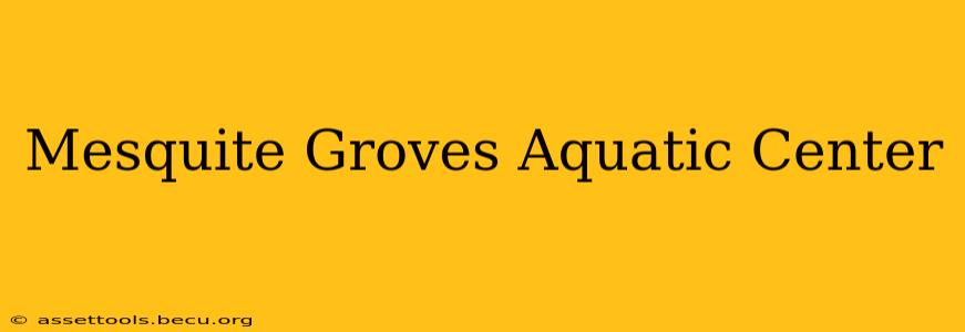 Mesquite Groves Aquatic Center