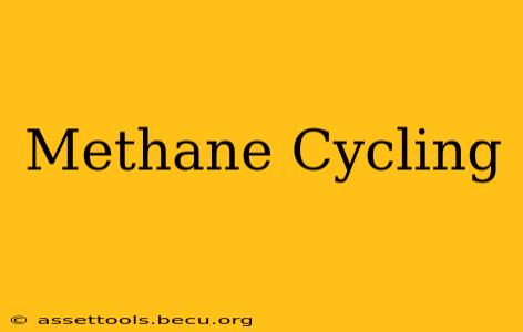 Methane Cycling